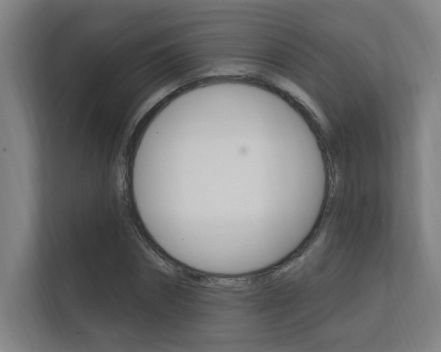 X0000112360874200908131232