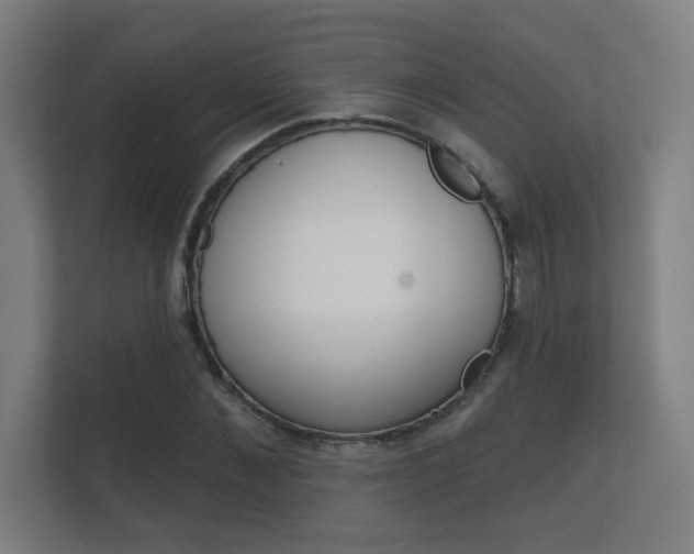 X0000112360876200908131232