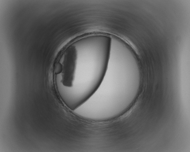 X0000112360877200908131232
