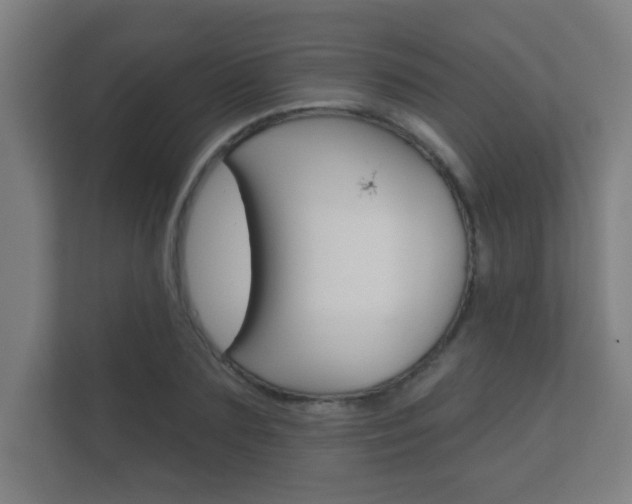 X0000112360883200908131232