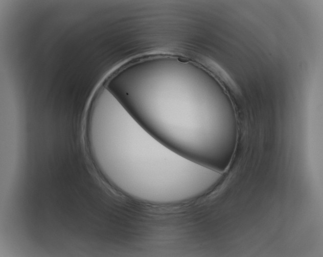 X0000112360884200908131232