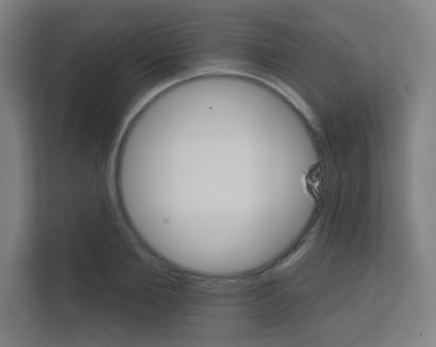 X0000112360885200908131232