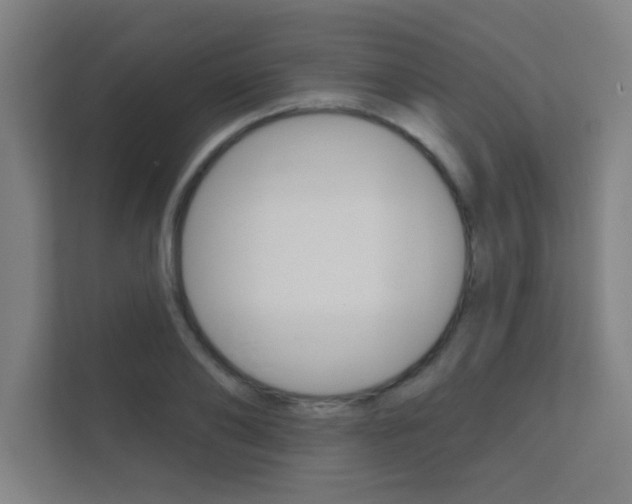 X0000112360886200908131232