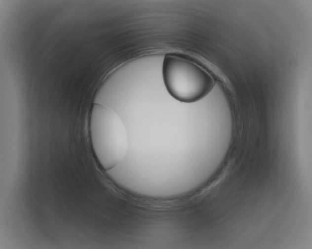X0000112360889200908131232