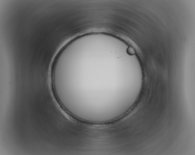 X0000112360894200908131232