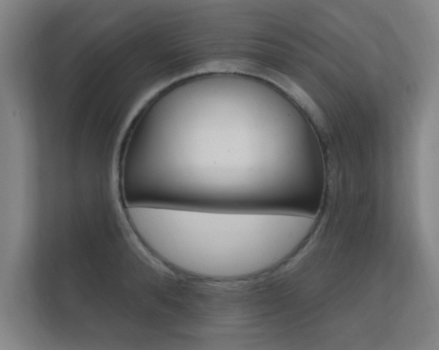 X0000112360896200908131232