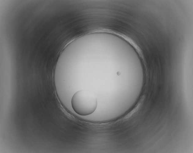 X0000112360897200908131232