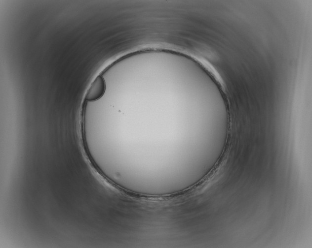 X0000112360903200908131232