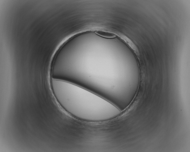 X0000112360904200908131232