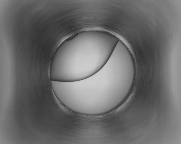 X0000112360905200908131232