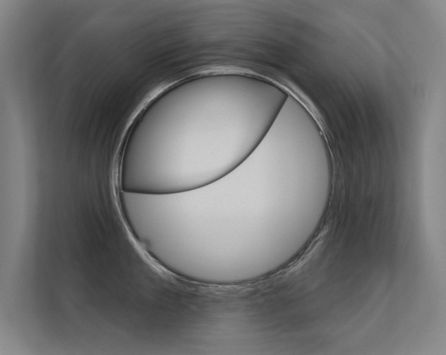 X0000112360909200908131232
