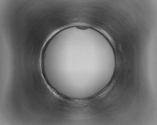 X0000112360910200908131232