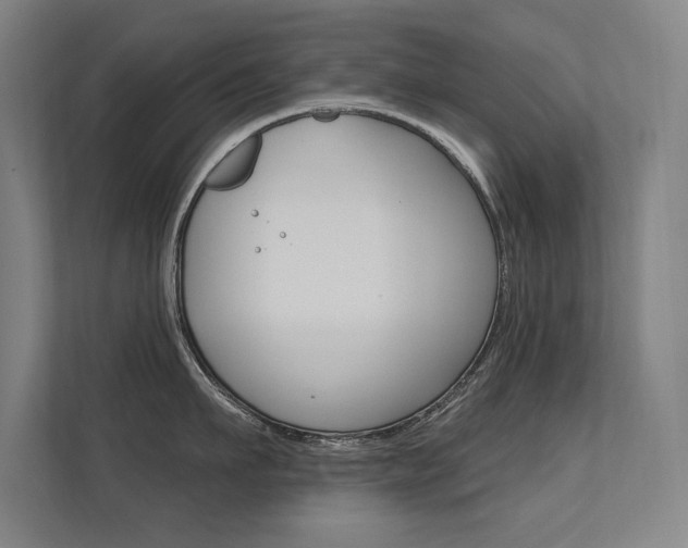 X0000112360911200908131232