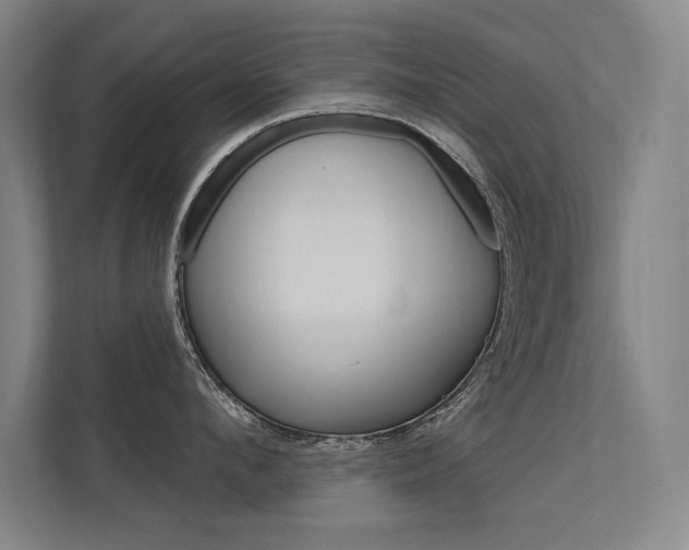 X0000112360912200908131232