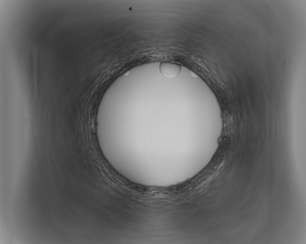X0000112360913200908131231