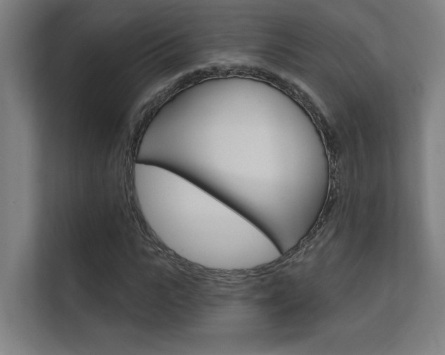 X0000112360919200908131231