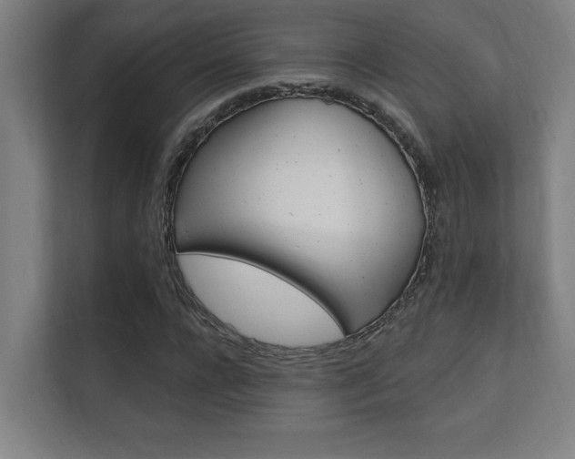 X0000112360920200908131231