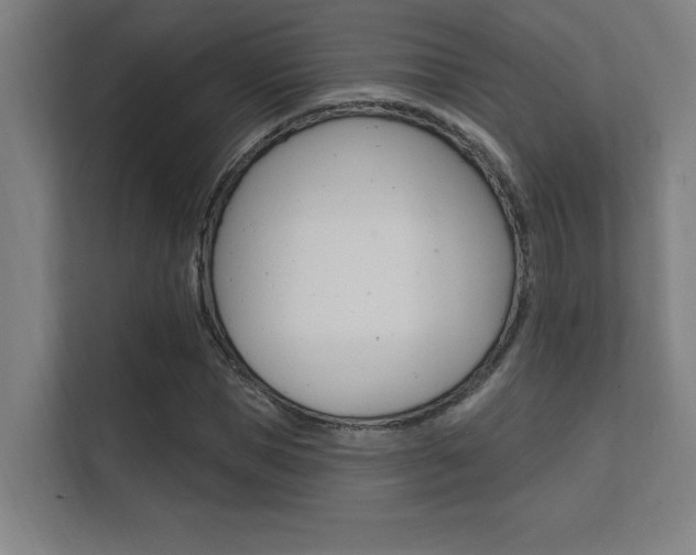 X0000112360921200908131231