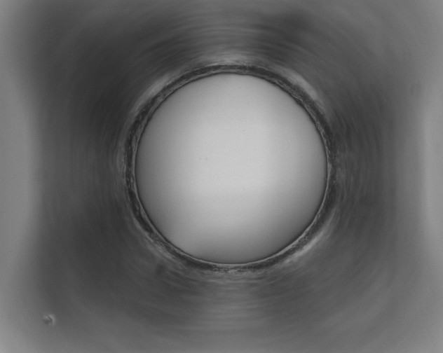X0000112360922200908131231