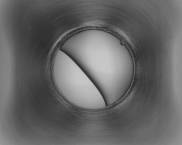 X0000112360923200908131231