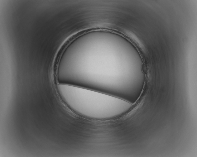 X0000112360924200908131231