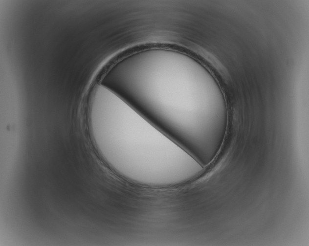 X0000112360926200908131231