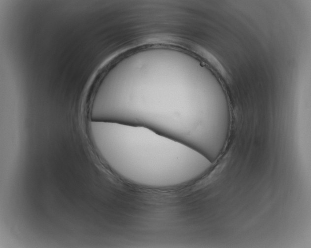 X0000112360931200908131231