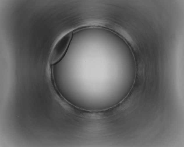 X0000112360936200908131231