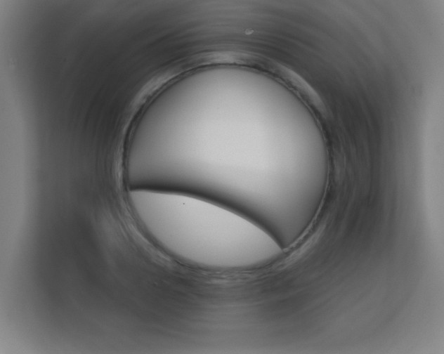 X0000112360938200908131231