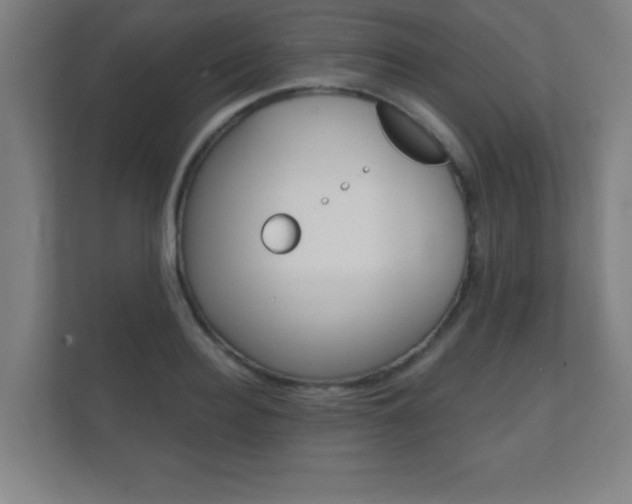 X0000112360940200908131231
