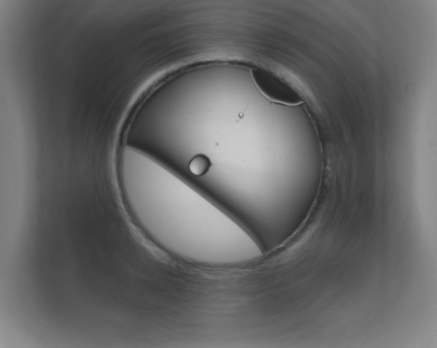 X0000112360942200908131231