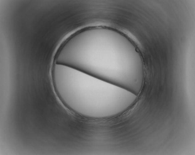 X0000112360943200908131231