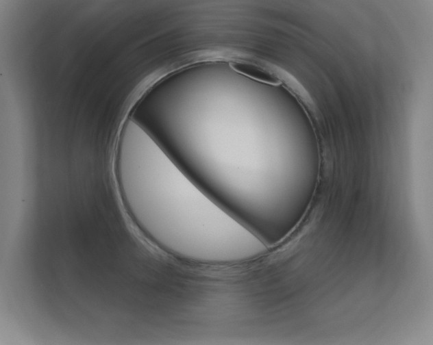X0000112360946200908131231