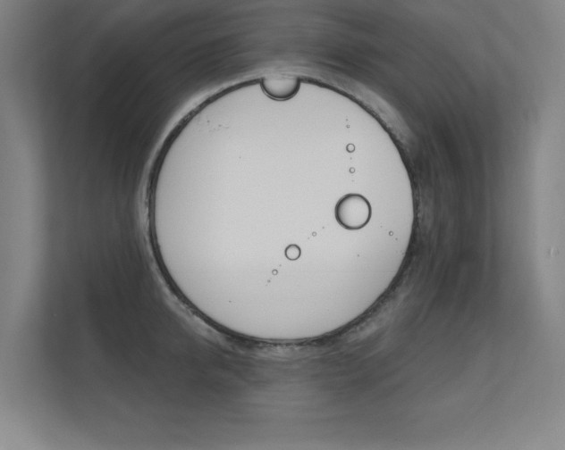 X0000112360950200908131232