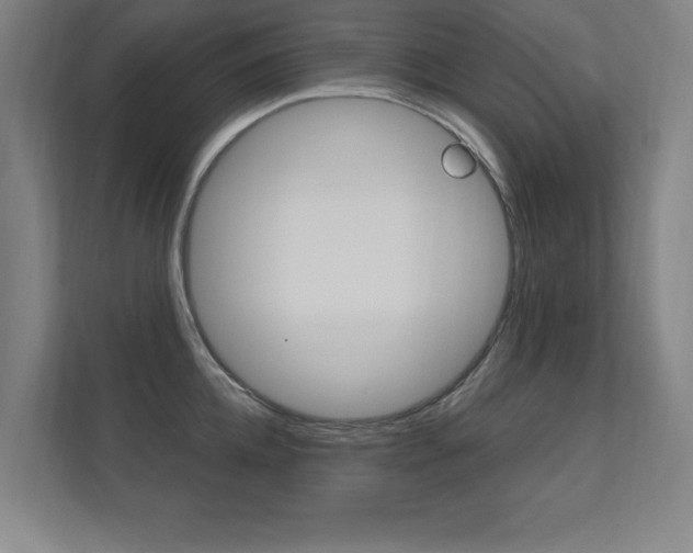 X0000112360952200908131232
