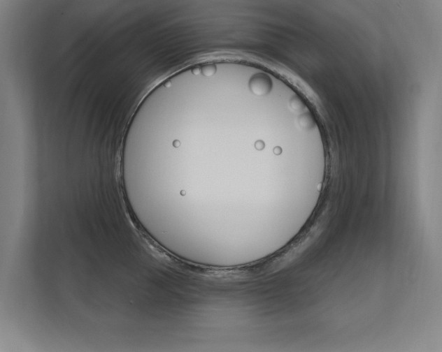 X0000112360953200908131232