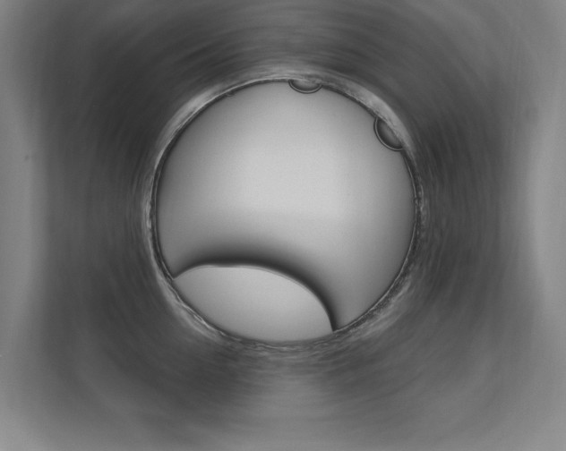X0000112360954200908131232