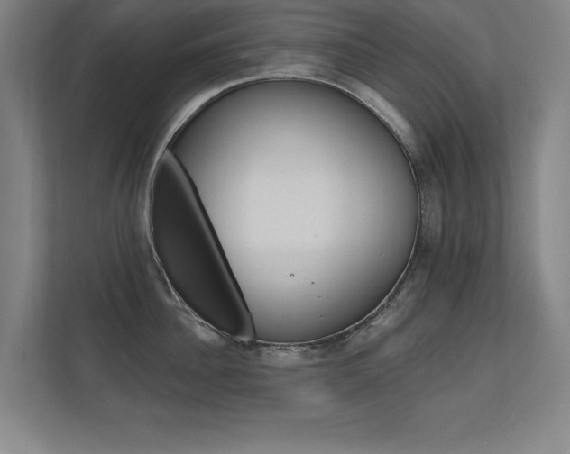 X0000112360956200908131232