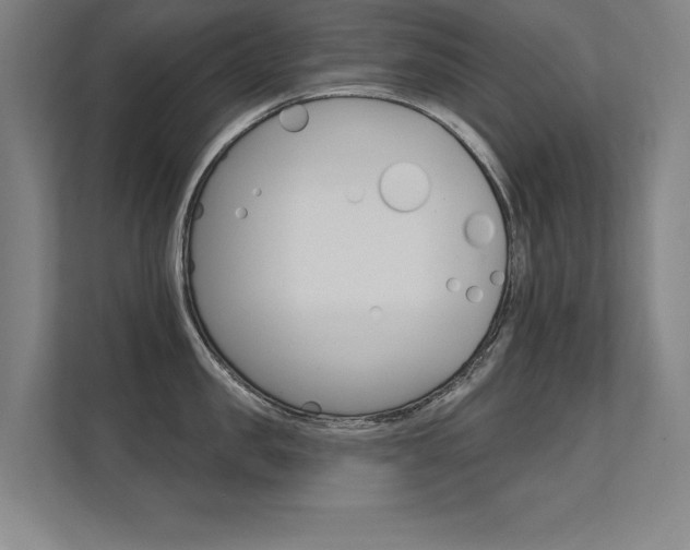 X0000112360957200908131232