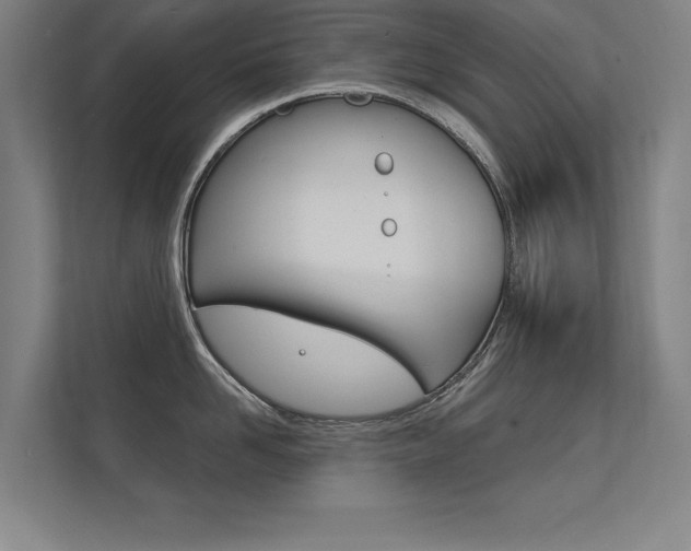 X0000112360958200908131232