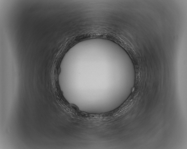 X0000112360961200908131231