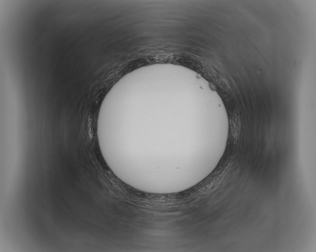 X0000112360962200908131231
