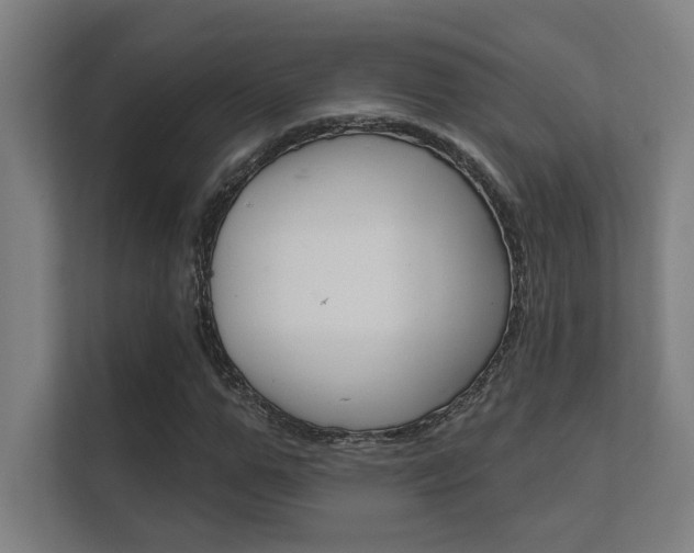 X0000112360967200908131231