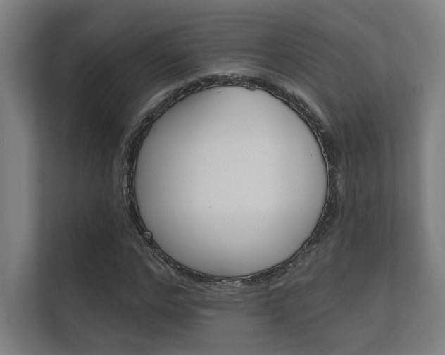 X0000112360968200908131231