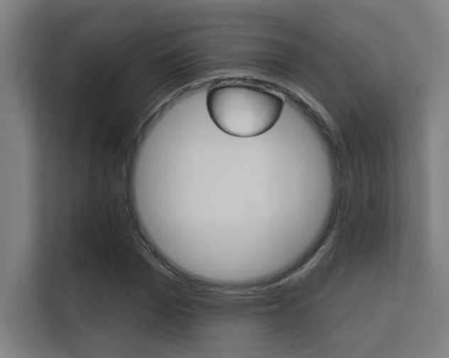 X0000112360969200908131231