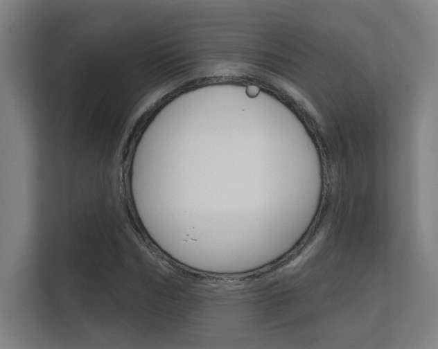 X0000112360970200908131231