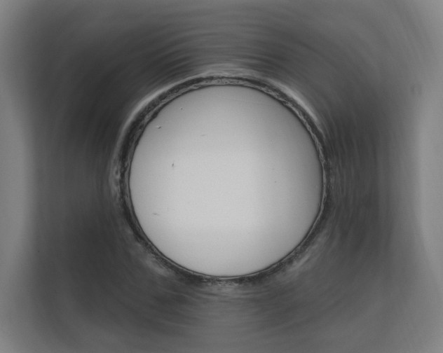 X0000112360971200908131231