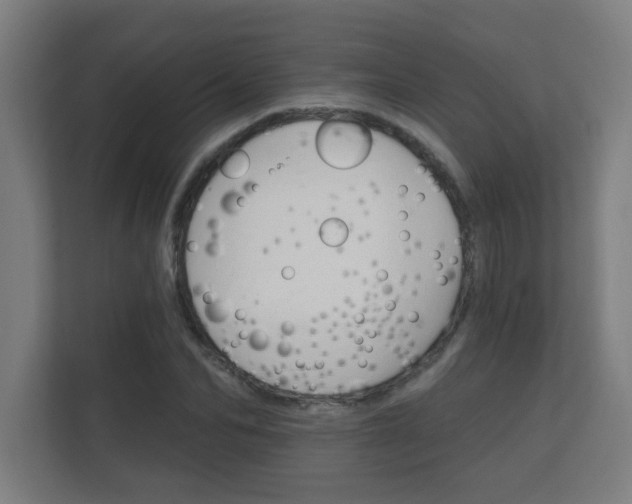 X0000112360974200908131231