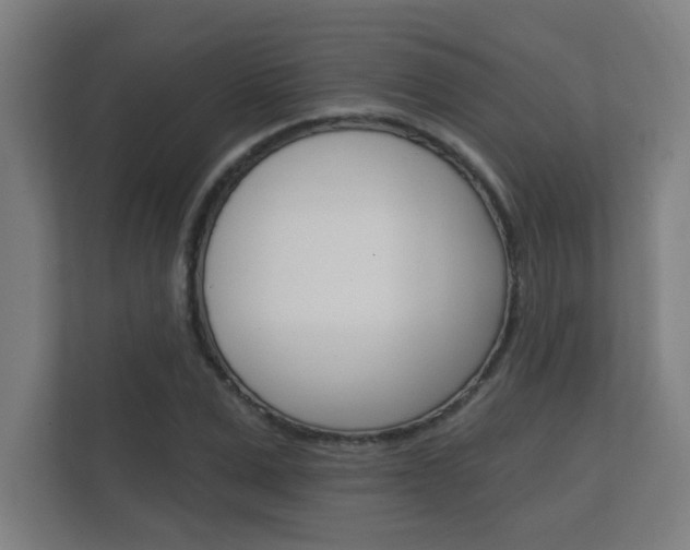 X0000112360975200908131231