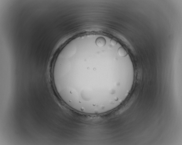 X0000112360978200908131231